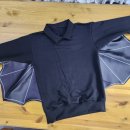 날개달린옷 이미지