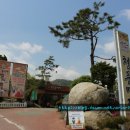 청풍미가 이미지