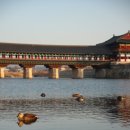 하늘연못팬션 | 경주에서 가장 경주다운 시간월정교 노을과 동궁과 월지의 밤을 걷다