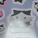 테트라포트멜론티