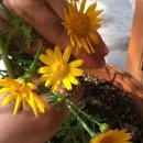 하늘내린 게스트하우스 이미지