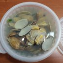 대동실내식당 | 거제 해산물 포장 배달 가능한 맛집 대동수산 내돈내산