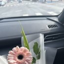 유어스플레르 이미지