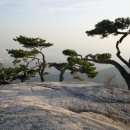 에덴동산 이미지