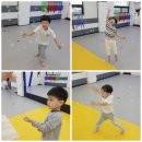 국가대표 호아 태권도 네이버블로그
