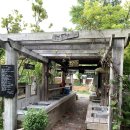 서각(입문) | 남해 버드하우스 캠핑장 동화처럼 신비로운 곳