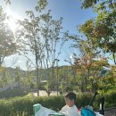 의료법인 양구우리병원 | 은평구 남자아이 성조숙증검사 후기
