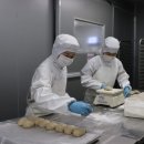 더 브레드 이미지