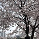 호수로50번길 이미지