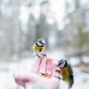 정도어린이집 이미지