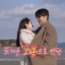 31 bnt뉴스