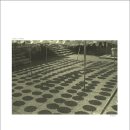 음율2003 이미지