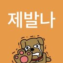 ⋆｡ﾟ☁︎드삼쇼 앙♡ 콘 후기☾ ﾟ｡⋆
