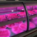 진도맛집 이미지