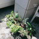 반송동266 이미지