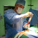 나은병원 이미지