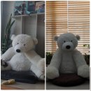 백곰세탁소 | 곰인형- 빼꼼이의 목욕(세탁)후기