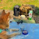 송이조각공원 화장실 이미지