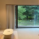 오월의정원 포레스트 이미지