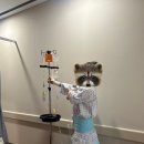 일산참사랑요양병원 | 일산차병원 제왕절개 D+1 수술 다음 날 후기