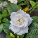 (주)에이원건설 이미지