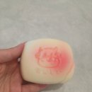 캐치팡 주안점 네이버블로그