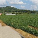 화당보건진료소 이미지