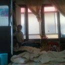 의석농장 이미지