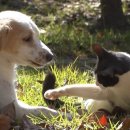 도훈농장 이미지