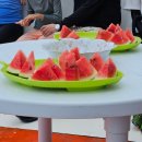 현재거북빌라 | 🇵🇭필리핀 보홀여행 Day1 #1 가성비 호핑투어 '투어레코드', 한인숙소 내돈내산 후기