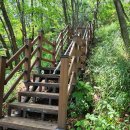 야시대로 이미지