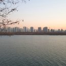 2014117 이미지