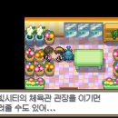 금빛체육관