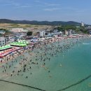 44 국민일보