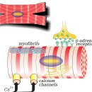 석전한의원 이미지