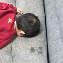태광카센타 | 대전은 노잼도시가 아니야!