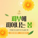 올리원의원 네이버블로그