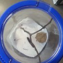 나비키친 이미지