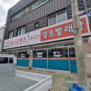 산정이불