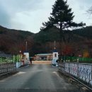 지례초등학교 부항분교 이미지