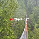 네이처스엣지 | 밴쿠버 여행일정 근교 추천 🇨🇦 캐필라노 현수교 서스펜션 브릿지!