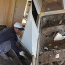 눈먼고래 이미지