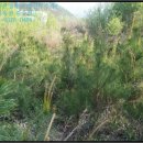 누교보건진료소 이미지