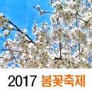 2017년 제1회 벚꽃축제 (경북.경주) 이미지