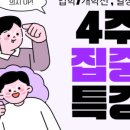 키싸이언스 이미지