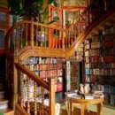 Song Long Food 이미지