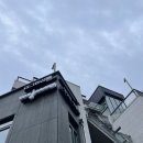 즐거운집 | #166 즐거운 나의집 후기(위욜 방탈출, 홍대 방탈출)