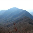 나화랑생가 이미지