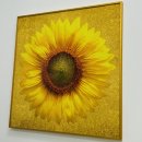 대청공인중개사사무소 이미지