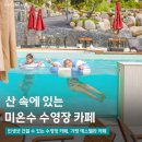 원경펜션 | 내년 여름에 또 갈래! 브런치 먹으며 수영하기 가평 에스텔라카페